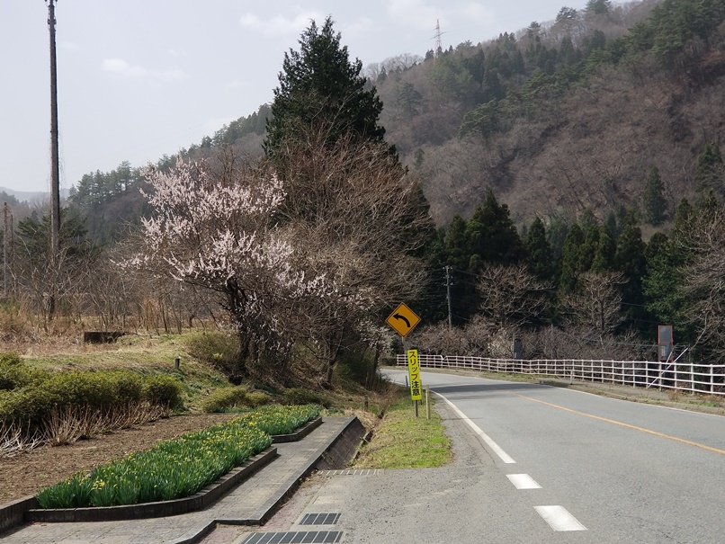 sites/2/2021/04/0f67293e598bb60df862835e68bf5778.jpgの画像