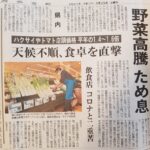 岩手も野菜高騰の画像