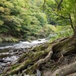 岩手のうめえ空気の画像