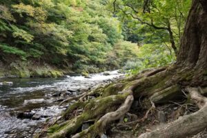 岩手のうめえ空気の画像