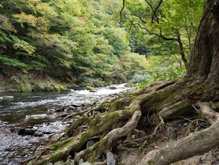 岩手のうめえ空気の画像