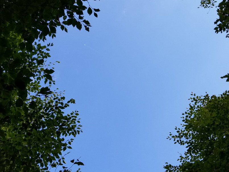 sites/2/2021/09/671503c6db7f6578845c54ef85cf7a55.jpgの画像
