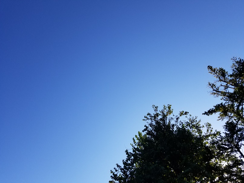 岩手の青空の画像
