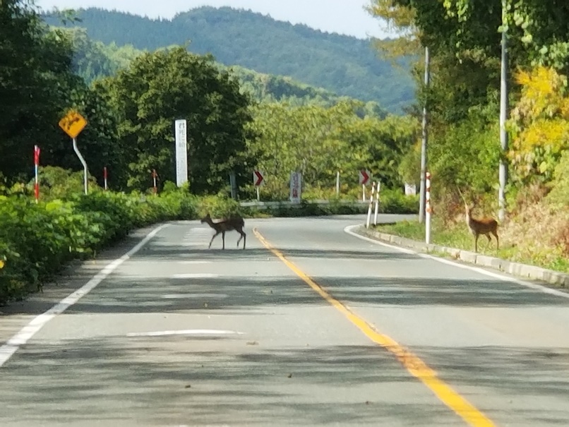 岩手の動物公園