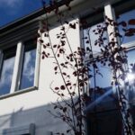 住宅の連窓 (1)の画像