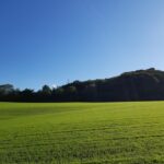 sites/2/2021/10/f46af29148a2ab006447e25f999b58d5-150x150.jpgの画像