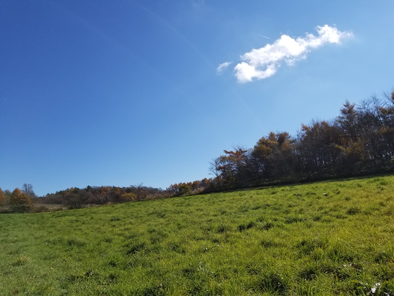 岩手県滝沢市の牧草地