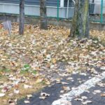 sites/2/2021/11/706050e51e09dd830f8b823ca3bd0c88-150x150.jpgの画像