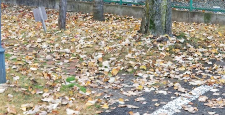 sites/2/2021/11/706050e51e09dd830f8b823ca3bd0c88-720x370.jpgの画像