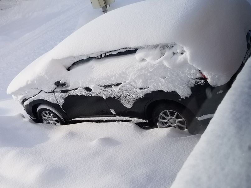 岩手の積雪1の画像
