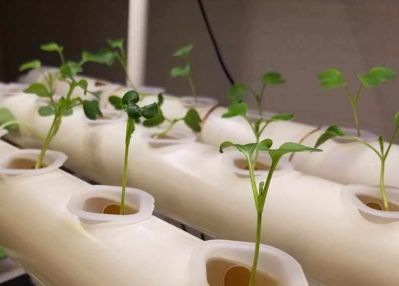 高断熱住宅で野菜づくりを趣味にの画像