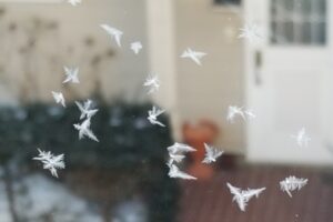 高断熱サッシが見せる不思議な世界 (2)の画像