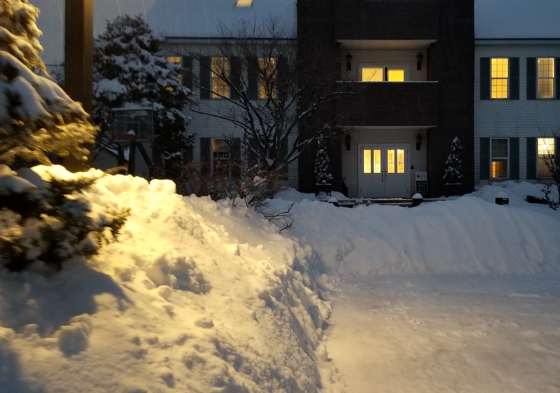 今冬の岩手は雪多いよね・・