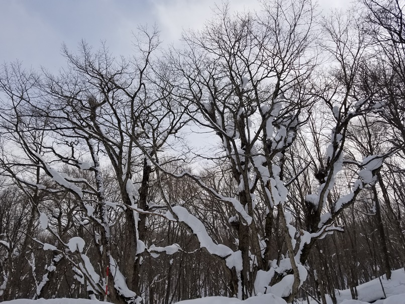 sites/2/2022/02/4503d587a0e0805121e9d73dba75ec85.jpgの画像