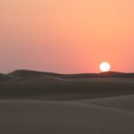 sites/2/2022/04/0a55460ceb720b191a53525f41d45223-150x150.jpgの画像