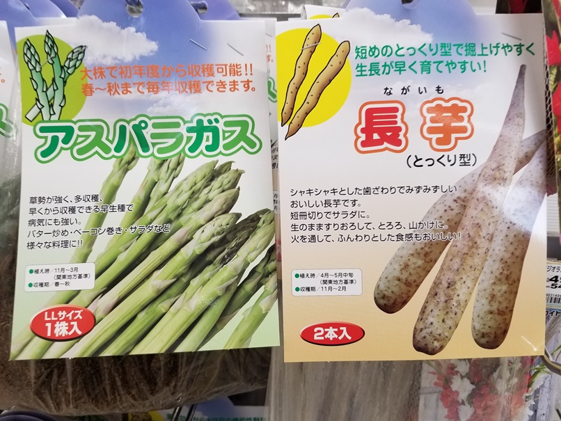 アスパラガスか・・・の画像