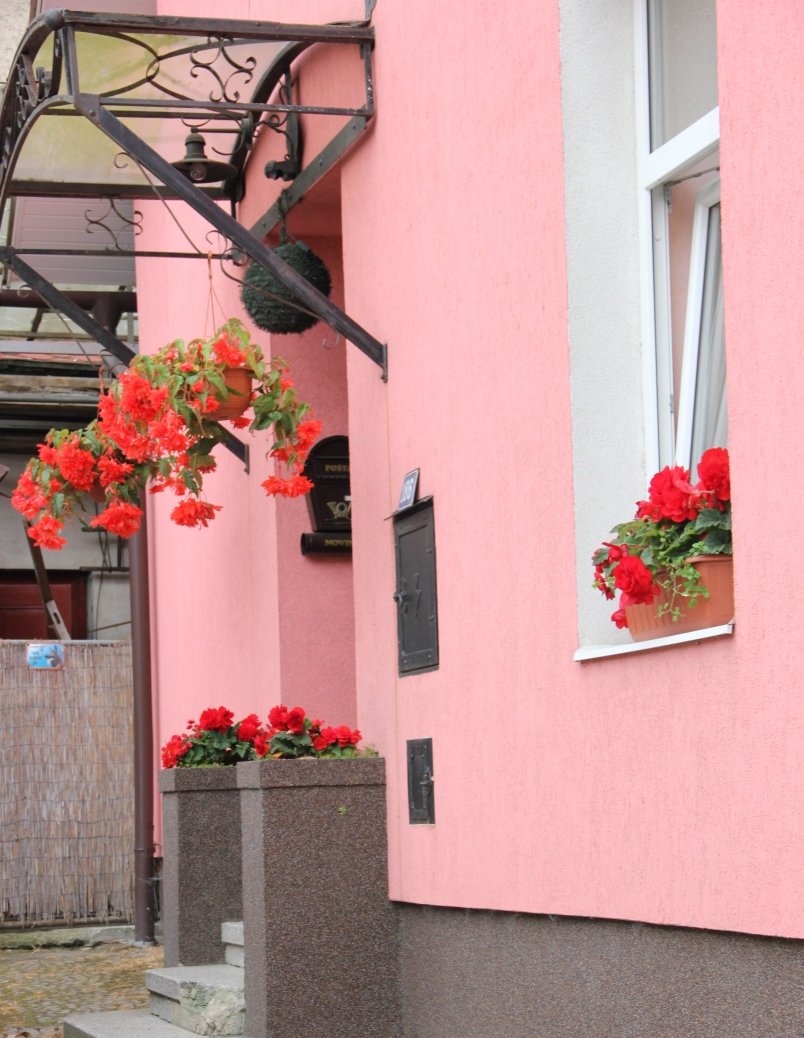 花を添えるヨーロッパの住宅 (5)の画像