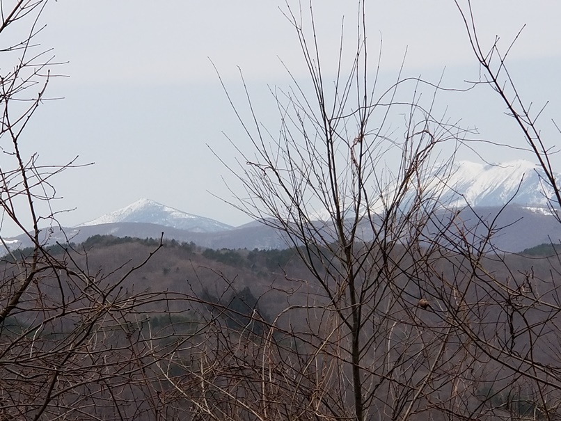 土坂峠 (3)早池峰と薬師岳の画像