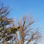 新年度初日の岩手の画像