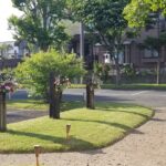 sites/2/2022/05/22a8d051aadffa210ff5259113032c9e-150x150.jpgの画像
