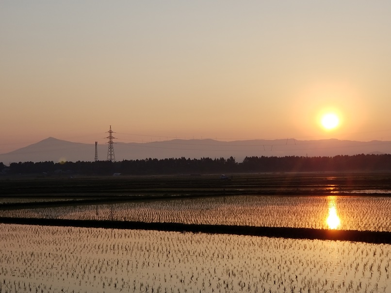 sites/2/2022/05/81a15f9bce5fa0725b9f54f70b5816b2.jpgの画像