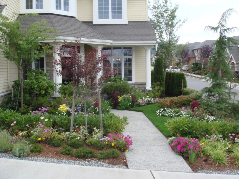 アメリカ住宅の植栽 (2)の画像