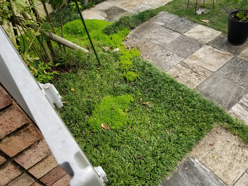 幸せになる庭のある家(3)の画像