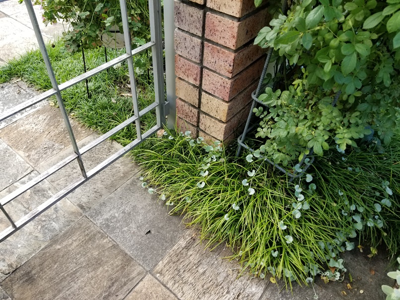 幸せになる庭のある家(4)の画像