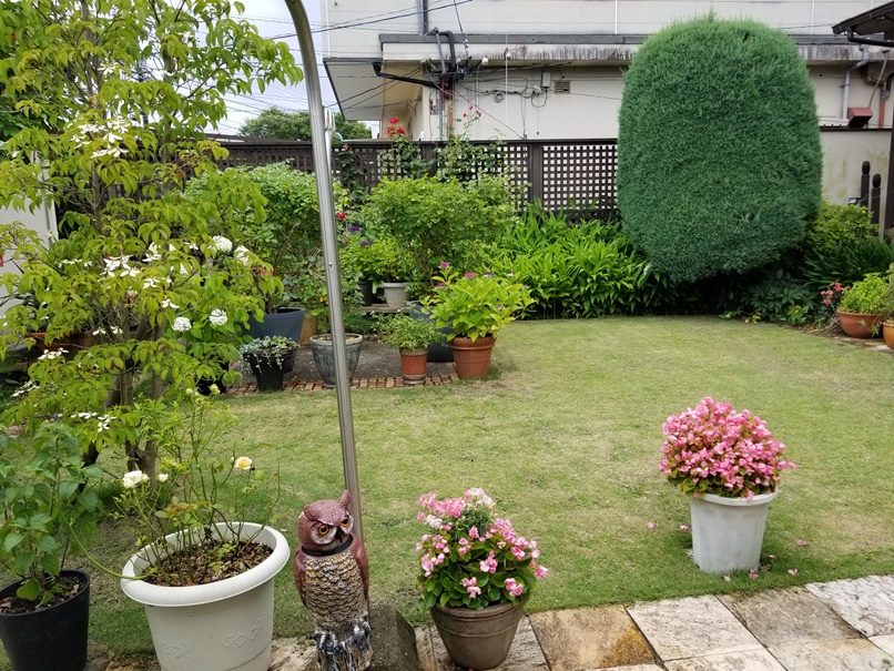 幸せになる庭のある家(2)の画像