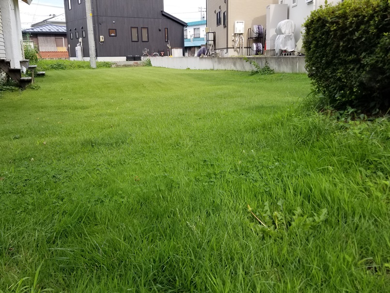 芝刈り前の画像