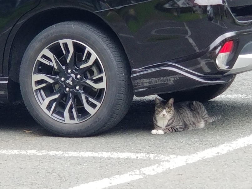 車動かせない・・