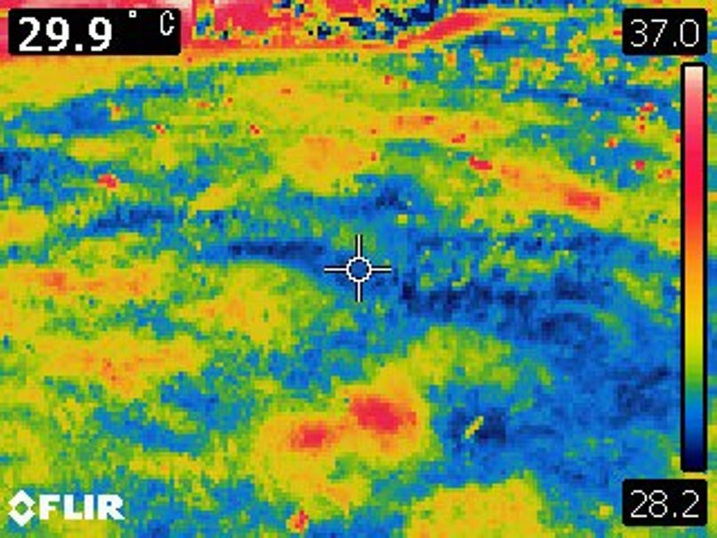 午前に散水した芝生の温度 (2)