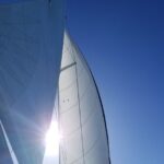 sites/2/2022/08/53469b57ed8b18b1a723c357eb468409-150x150.jpgの画像