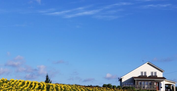 ひまわりの丘の家の画像