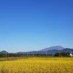 sites/2/2022/10/d3a10431a58a30b9e7f7e04d1c4c1290-150x150.jpgの画像