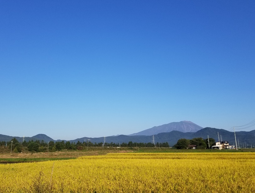 sites/2/2022/10/d3a10431a58a30b9e7f7e04d1c4c1290.jpgの画像