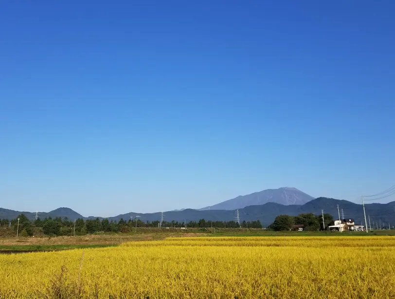 sites/2/2022/10/d3a10431a58a30b9e7f7e04d1c4c1290.jpgの画像