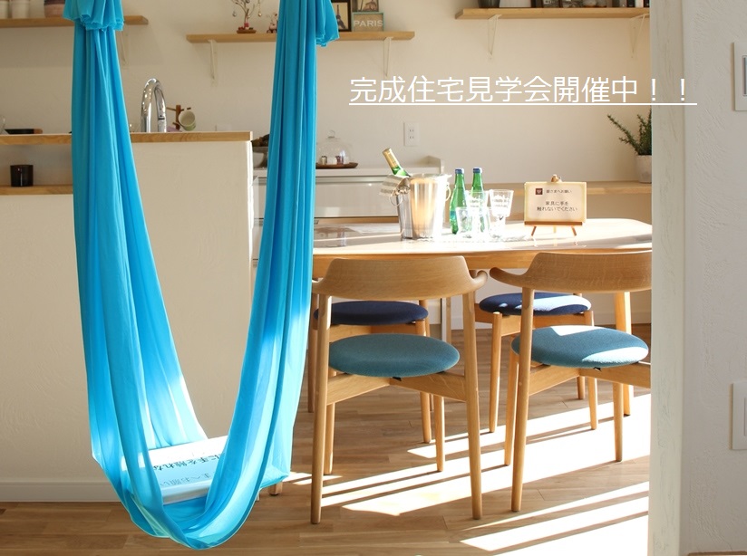 陽射しとの戯れタイムの画像