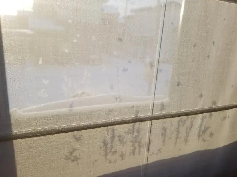 トリプルガラス外側に着氷 (1)の画像