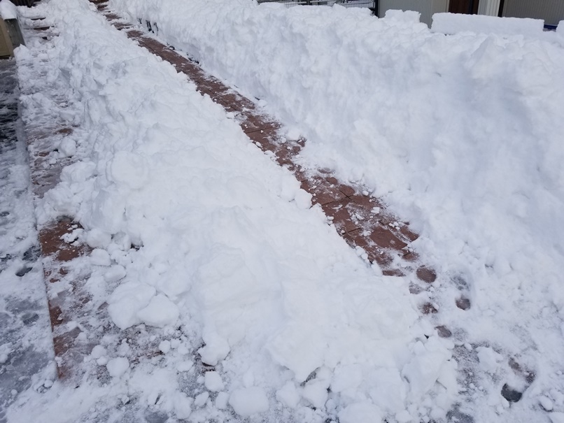 減量したい雪