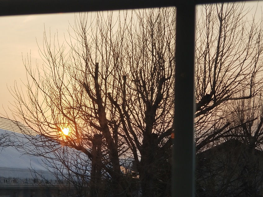 今日の夕日の画像