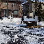 岩手は雪解けへ (2)の画像