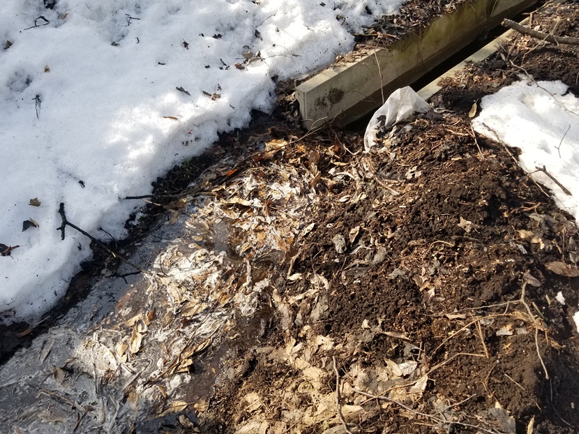 雪解け水排水(4)の画像
