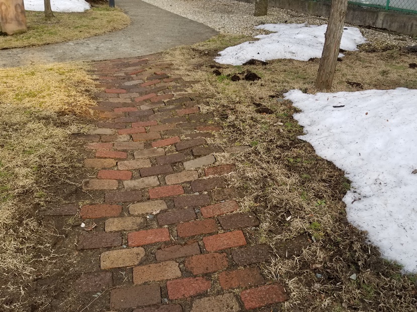 凍み上がったままの通路の画像