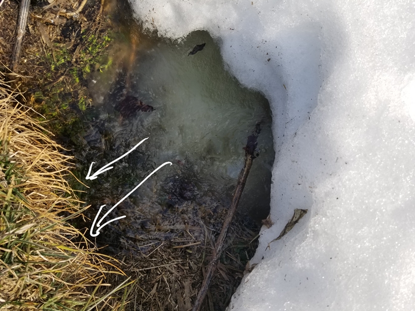 雪解け水排水(1)