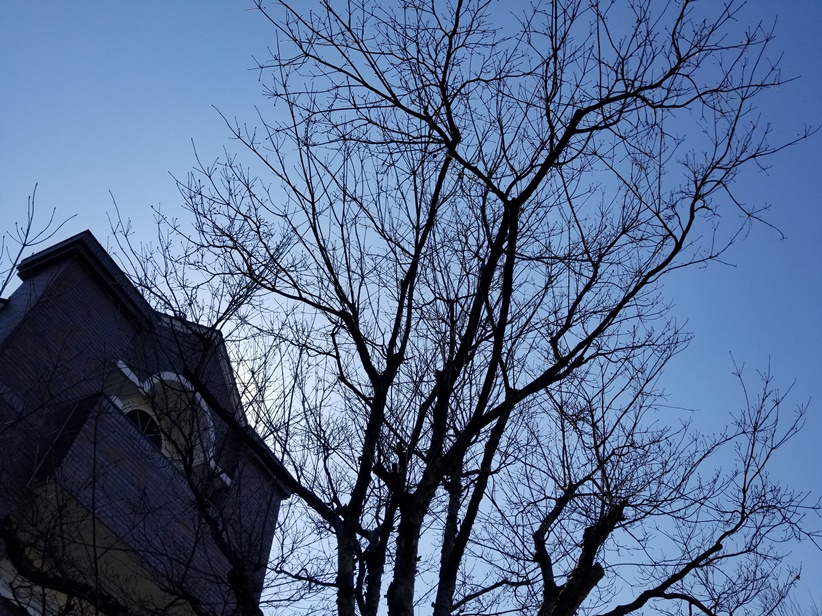 岩手は春の空 (2)の画像