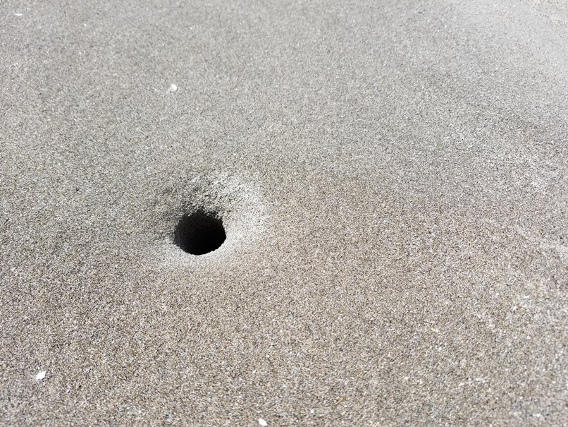 リセットな日(5)の画像