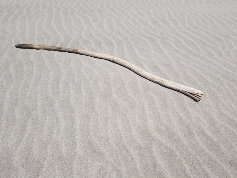 リセットな日(6)の画像