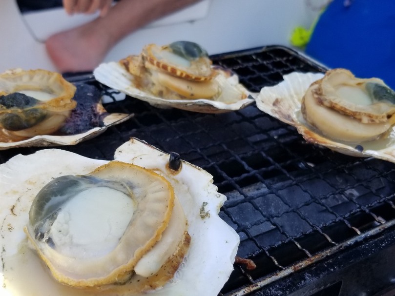 パッシブな日(1)の画像