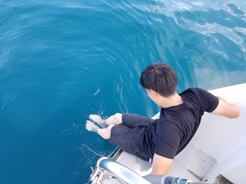 パッシブな日(2)の画像